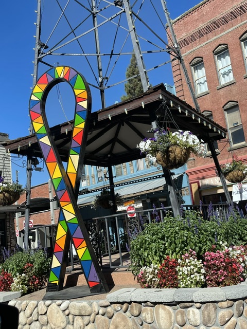 IMG_2087